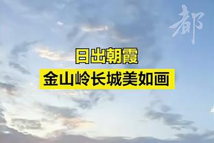 福登：阿尔瓦雷斯有前锋冷酷无情的本能，哈兰德有些不太走运